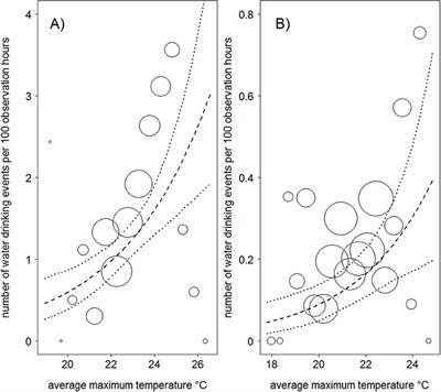 Higher Maximum Temperature Increases the Frequency of Water Drinking in Mountain Gorillas (Gorilla beringei beringei)